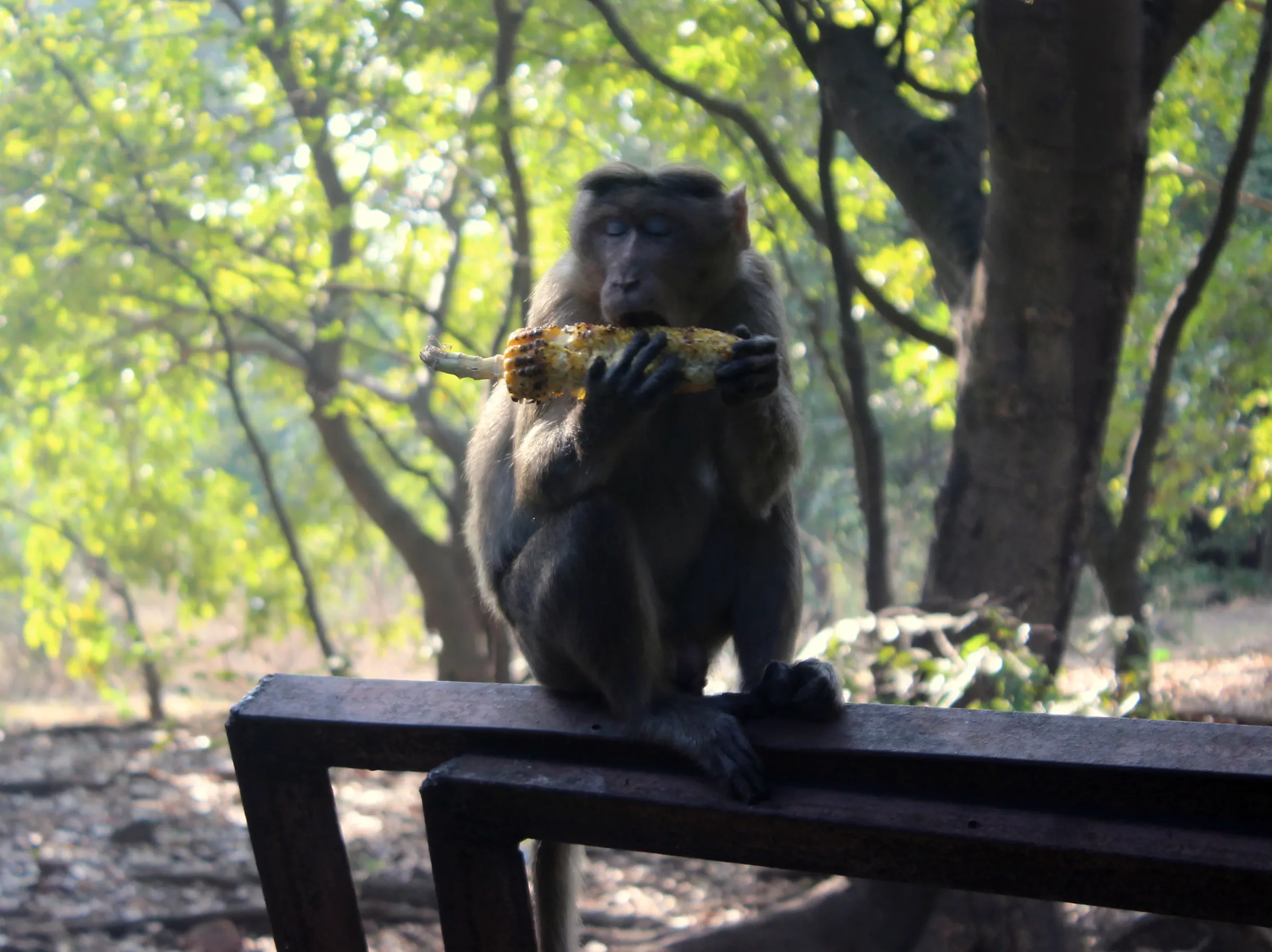 Elephanta Island